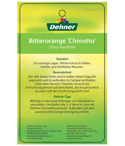 Bitterorange 'Chinotto' -Haus Pflanzen Welt 7119803 BitterorangeChinottoEtikett2