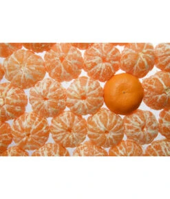 Mandarine -Haus Pflanzen Welt 7120306 WE MO 001 MandarineCitrusReticulataPixabay