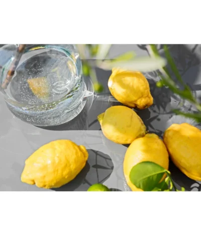 XXL Zitrone, Ca. 155-165 Cm -Haus Pflanzen Welt 7120405 PR MO 002 Zitrone