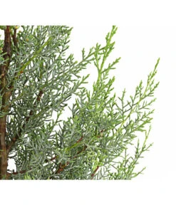 Haus Pflanzen Welt -Haus Pflanzen Welt 7156060 WE DE 001 CupressusZypresseArizonaFast10LDehnerExpressHerzig