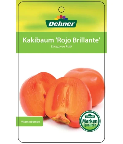 Dehner Kaki 'Rojo Brillante' - Kaki-Pflaume 'Rojo Brillante' -Haus Pflanzen Welt 7167414 KakiRojoBrillante Etikett 01