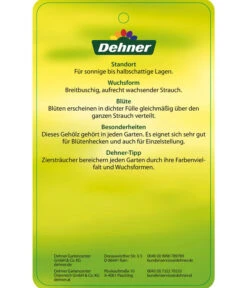 Forsythie 'Week-End' - Goldglöckchen 11 Forsythie 'Week-End' - Goldglöckchen -Haus Pflanzen Welt 7186869 GoldgloeckchenWeekend Etikett 2