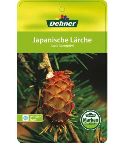 Japanische Lärche -Haus Pflanzen Welt 7261548 JapanischeLaerche Etikett 1