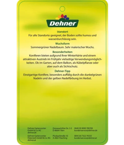 Japanische Lärche -Haus Pflanzen Welt 7261548 JapanischeLaerche Etikett 2
