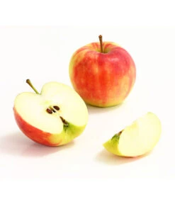 Herbstapfel 'Elstar' -Haus Pflanzen Welt 7369164 WE DE 006 ApfelElstarDehnerExpressHerzig