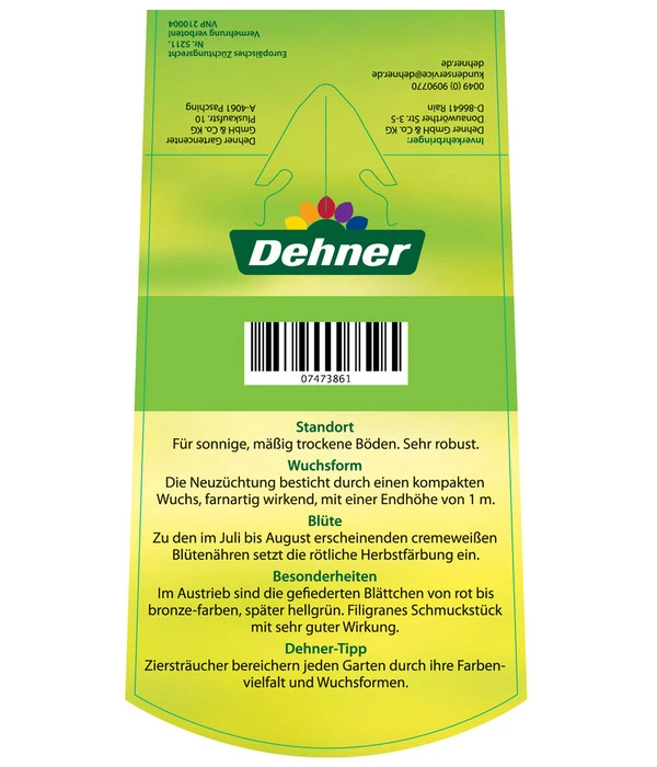 Fiederspiere 'Sem' 5 Fiederspiere 'Sem' – Bild 3