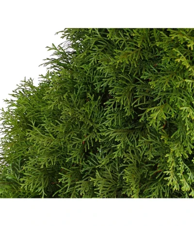 24 Meter Lebensbaum 'Smaragd', 80 X Ca. 60-80 Cm -Haus Pflanzen Welt 7513534 WE DE 001 ThujaLebensbaumOccidentalisSmaragd20LDehnerExpressHerzig 6