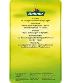 Großblumiger Duft-Schneeball -Haus Pflanzen Welt 7533623 Duftschneeball Etikett 02