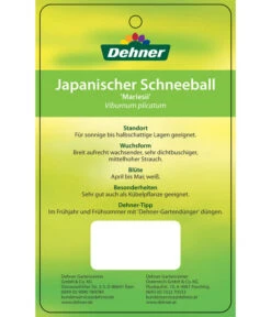 Japanischer Etagen-Schneeball 'Mariesii' -Haus Pflanzen Welt 7537194 JapanischerSchneeballMariesii Etikett 2