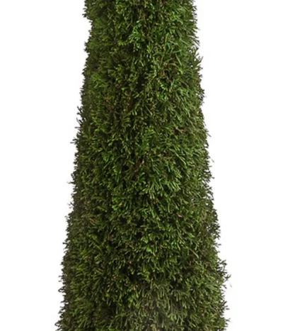 XXL Lebensbaum 'Smaragd' Torwächter -Haus Pflanzen Welt 7548118 WE DE 001 ThujaLebensbaumTorwaechterH140