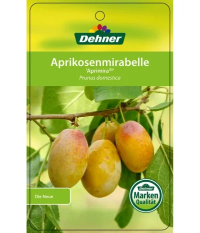 Dehner Aprikosenmirabelle 'Aprimira' -Haus Pflanzen Welt 7600851 AprikosenmirabelleAprimira Etikett 1
