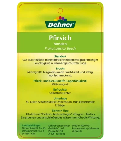 Dehner Pfirsich 'Amsden' -Haus Pflanzen Welt 7603665 PfirsichAmsden Etikett 2