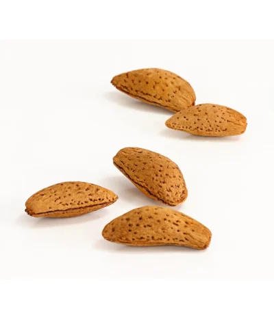 Mandelbaum -Haus Pflanzen Welt 7603889 WE DE 002 MandelPalatinaPrunusDulcisDehnerExpressHerzig