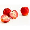 Rotfleischiger Apfel 'Baya Marisa' -Haus Pflanzen Welt 7610488 PR DE 020 ApfelBayaMarisaRotfleischigDehnerExpressHerzig