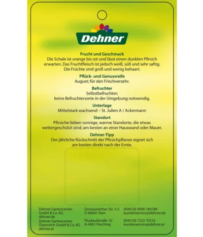 Dehner Pfirsich 'Benedicte' -Haus Pflanzen Welt 7611155 WeissfleischigerPfirsichBenedicte Etikett 2