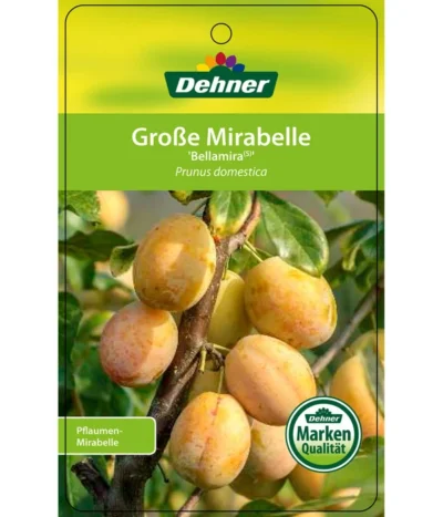 Dehner Mirabelle 'Bellamira' -Haus Pflanzen Welt 7611163 GrosseMirabelleBellamira Etikett 1