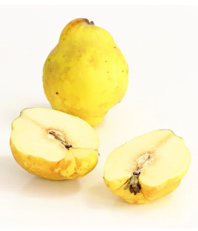 Birnenquitte -Haus Pflanzen Welt 7612286 WE DE 003 BirnenquittePortugiesischeCydoniaOblonaDehnerExpressHerzig