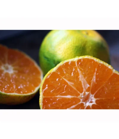 Rangpur-Limette 'Lima Rossa' -Haus Pflanzen Welt 7622616 WE MO 001 RangpurLimettePixabay