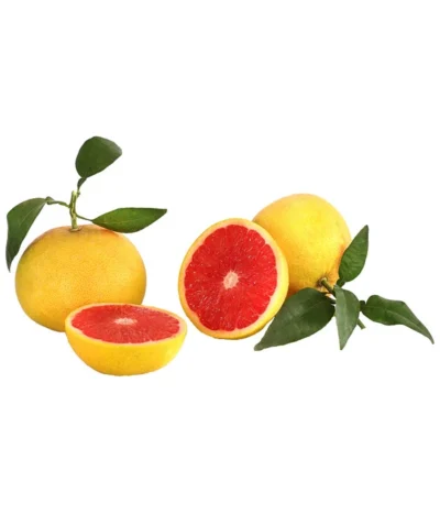 Rosafarbene Grapefruit -Haus Pflanzen Welt 7622673 WE DE 001 GrapefruitRosa Citrusparadisii