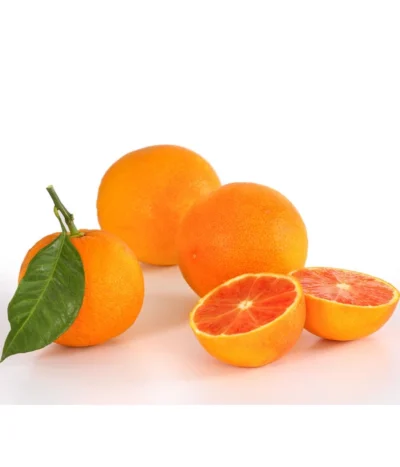 Blutorange -Haus Pflanzen Welt 7622756 PR DE 001 Blutorange Herzig