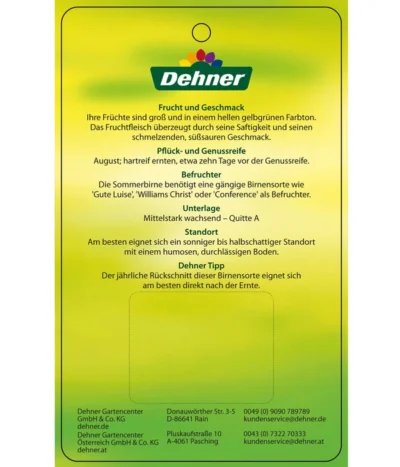 Sommerbirne 'Clapps Liebling' -Haus Pflanzen Welt 7625494 SommerbirneClappsLiebling Etikett 2