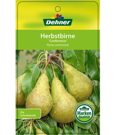 Herbstbirne 'Conference' -Haus Pflanzen Welt 7625908 HerbstbirneConference Etikett 1
