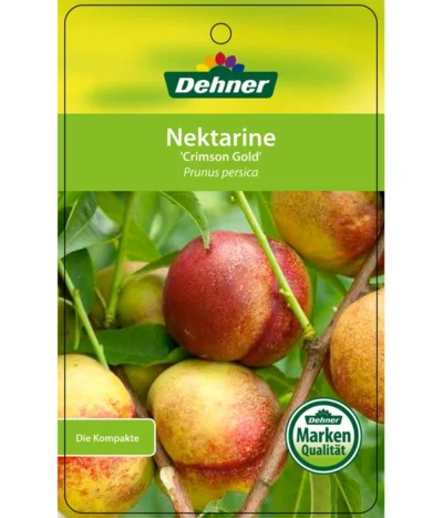 Nektarine 'Crimson Gold' -Haus Pflanzen Welt 7626005 NektarineCrimsonGold Etikett 1
