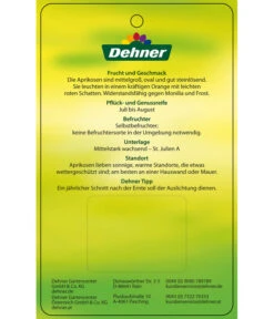 Aprikose 'Compacta' -Haus Pflanzen Welt 7626021 AprikoseCompacta Etikett 2