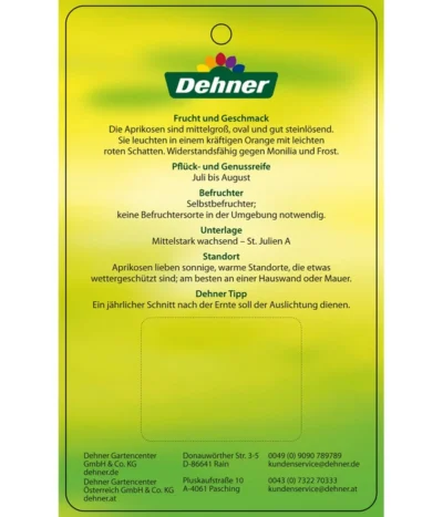 Aprikose 'Compacta' -Haus Pflanzen Welt 7626021 AprikoseCompacta Etikett 2