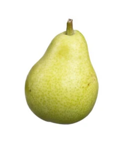 Säulenbirne 'Jeanne D'Arc' 5 Säulenbirne 'Jeanne D'Arc' -Haus Pflanzen Welt 7626039 PR DE 001 SaeulenbirneJeanPixabay