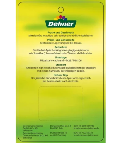 Herbstapfel 'Elstar' -Haus Pflanzen Welt 7639164 HerbstapfelElstar Etikett 2