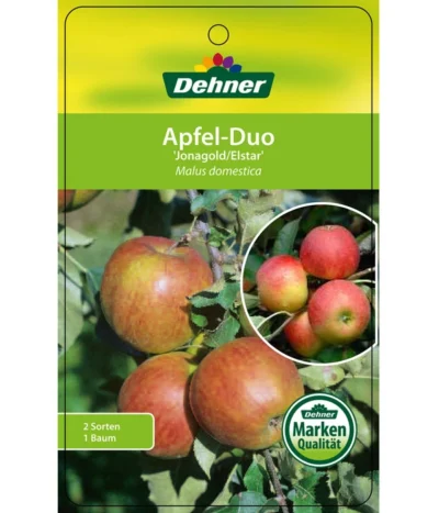 Apfel-Duo 'Jonagold'/'Elstar' -Haus Pflanzen Welt 7639248 Apfel DuoJonagoldElstar Etikett 1