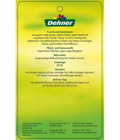 Apfel-Duo 'Jonagold'/'Elstar' -Haus Pflanzen Welt 7639248 Apfel DuoJonagoldElstar Etikett 2