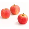 Herbstapfel 'Gala' -Haus Pflanzen Welt 7645880 WE DE 005 ApfelGalaDehnerExpressHerzig