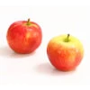 Herbstapfel 'Gerlinde' -Haus Pflanzen Welt 7648413 WE DE 003 ApfelGerlindeDehnerExpressHerzig