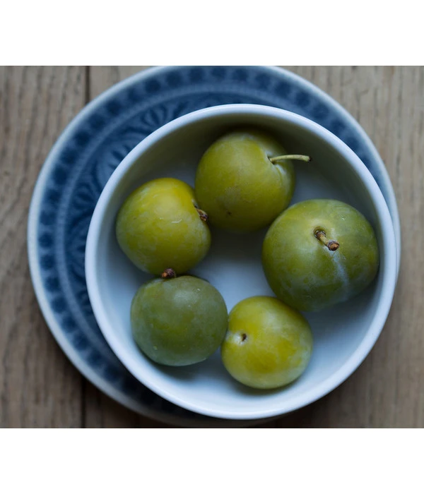 Dehner Reneklode 'Große Grüne Reneklode' 3 Dehner Reneklode 'Große Grüne Reneklode'