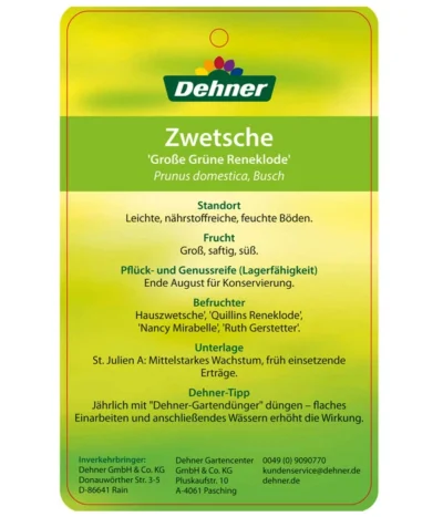 Dehner Reneklode 'Große Grüne Reneklode' 7 Dehner Reneklode 'Große Grüne Reneklode' -Haus Pflanzen Welt 7657802 ReneklodeGrosseGrueneReneklode Etikett 2