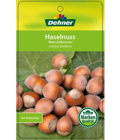 Dehner Haselnuss 'Rote Zellernuss' 14 Dehner Haselnuss 'Rote Zellernuss' -Haus Pflanzen Welt 7663073 HaselnussRoteZellernuss Etikett 1