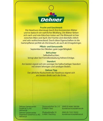 Dehner Haselnuss 'Rote Zellernuss' 15 Dehner Haselnuss 'Rote Zellernuss' -Haus Pflanzen Welt 7663073 HaselnussRoteZellernuss Etikett 2