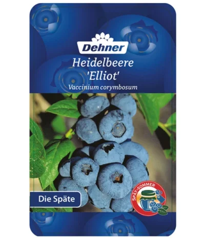 Heidelbeere 'Elliot' -Haus Pflanzen Welt 7665227 HeidelbeereElliot Etikett 1