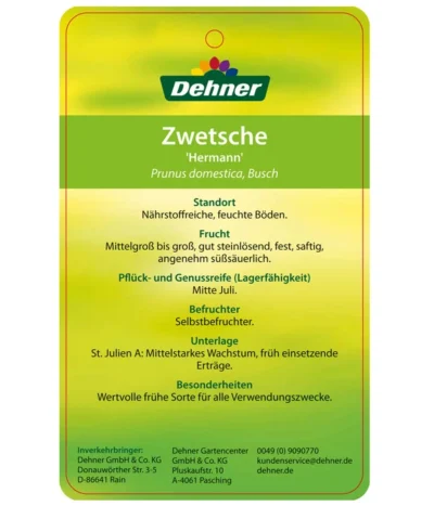 Zwetschge 'Hermann' -Haus Pflanzen Welt 7666688 ZwetschgeHermann Etikett 2