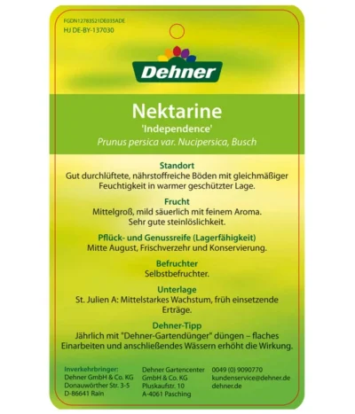 Dehner Nektarine 'Independence' 7 Dehner Nektarine 'Independence' -Haus Pflanzen Welt 7687304 NektarineIndependence Etikett 2