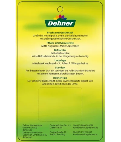 Zwetschge 'Jojo' 9 Zwetschge 'Jojo' -Haus Pflanzen Welt 7692635 ZwetscheJojo Etikett 2
