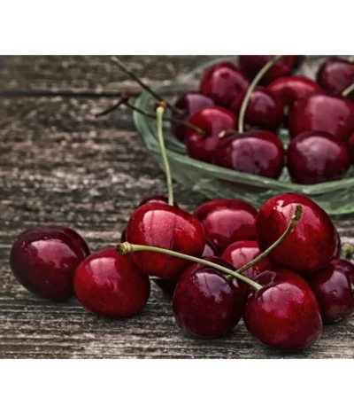 Süßkirsche 'Merchant'