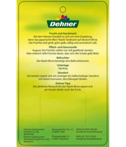 Nashi-Birne 'Nijiseiki' -Haus Pflanzen Welt 7719826 Nashi BirneNijiseiki Etikett 2