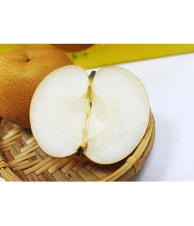 Nashi-Birne 'Nijiseiki' -Haus Pflanzen Welt 7719826 PR MO 001 NashiBirneNijiseikiPixabay