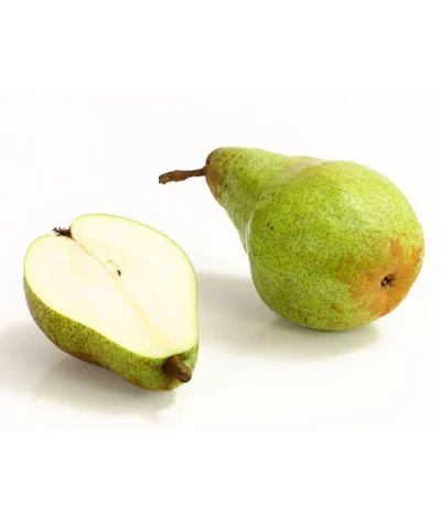 Winterbirne 'Novembra' 7 Winterbirne 'Novembra' -Haus Pflanzen Welt 7723695 WE DE 004 BirneNovemberDehnerExpressHerzig