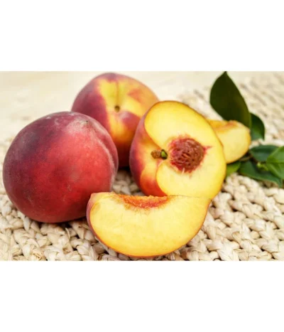 Gelbfleischiger Pfirsich -Haus Pflanzen Welt 7728843 PR FS 001 GelbfleischigerPfirsichPixabay