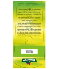 Tafeltraube 'Phönix' 9 Tafeltraube 'Phönix' -Haus Pflanzen Welt 7729072 TafeltraubePhoenix Etikett2