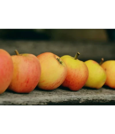 Winterapfel 'Pinova' -Haus Pflanzen Welt 7729403 WE MO 001 ApfelPinovaPixabay